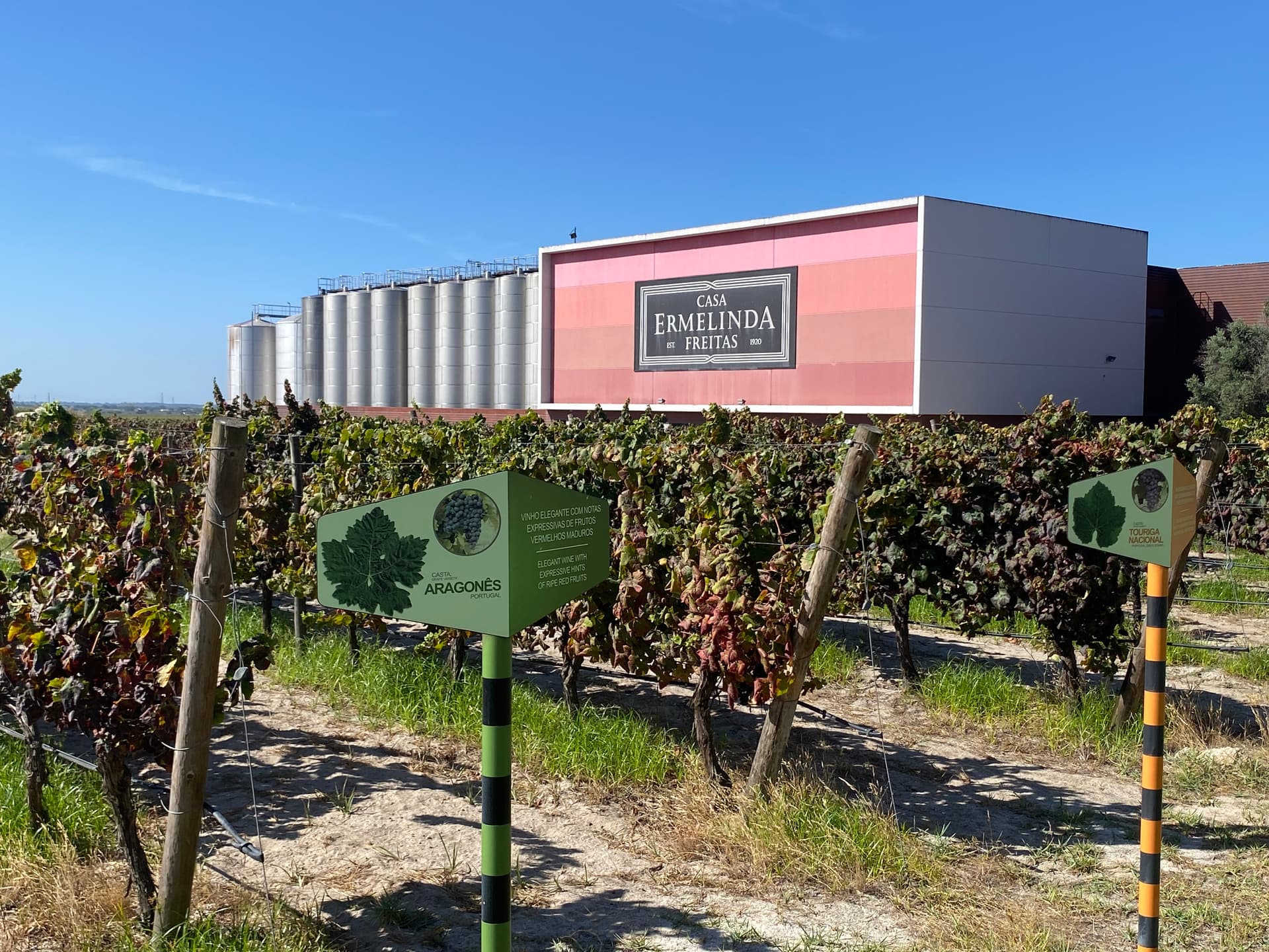 Lisbon's Northern Region Wine Tasting Private Tour