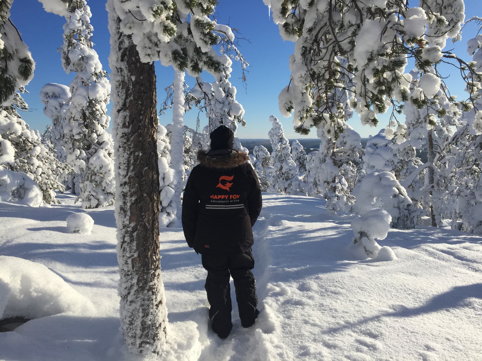 Forest Walk & Traditional Log Sauna (3 Hours)