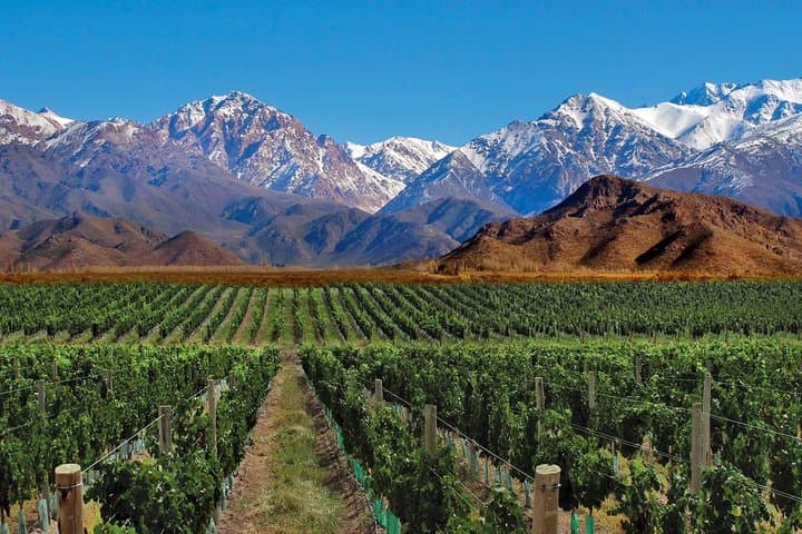 4-Days Trip to Mendoza and The Andes