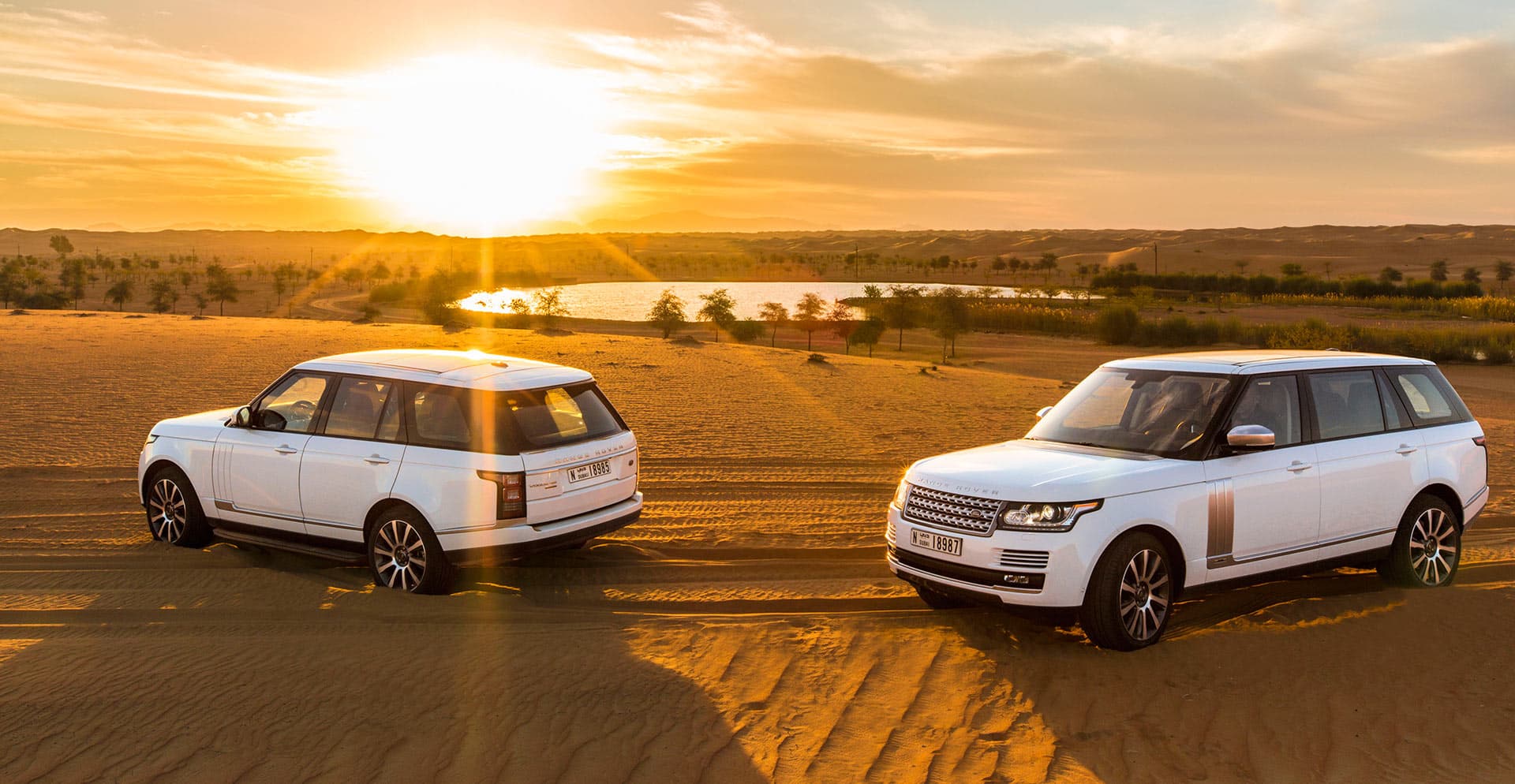 Morning Desert Wildlife Safari with Falconry Display from Dubai