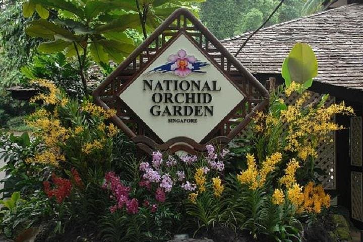 Things to do in Singapore