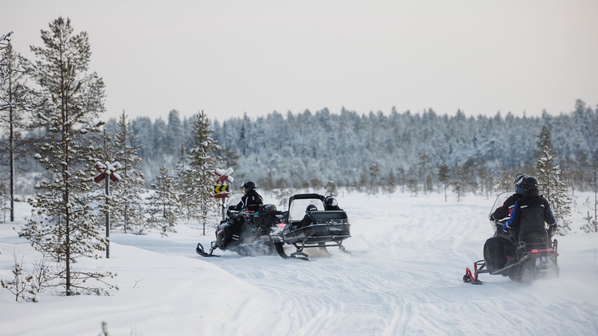 Family Safari in Rovaniemi
