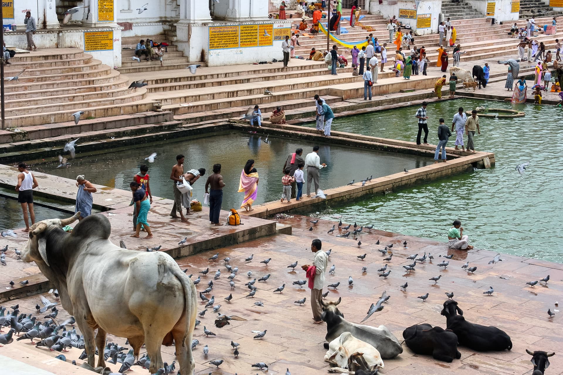 Pushkar Experience With Jaipur Drop from Jodhpur.