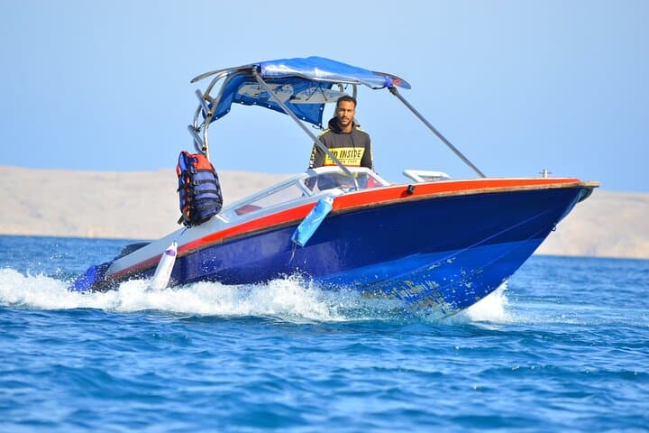 Swim with dolphin By Private Speed Boat and Sub wing Game - Hurghada