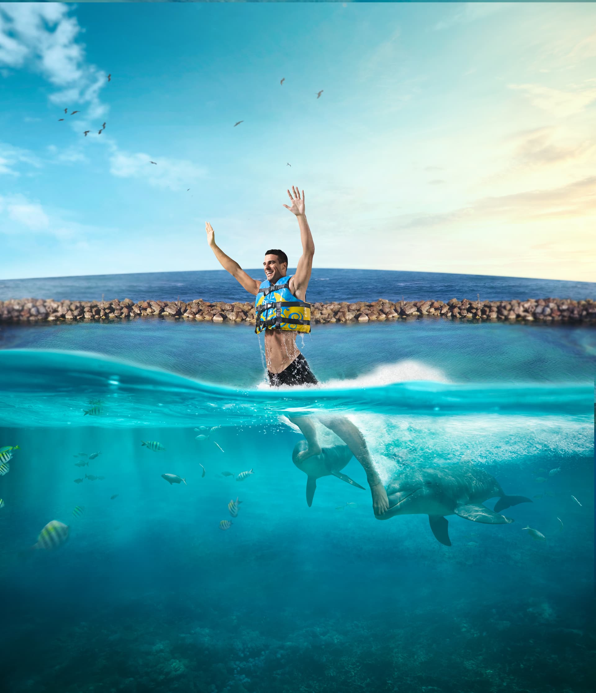 Dolphin Royal Swim in Dolphin Cove Ocho Rios