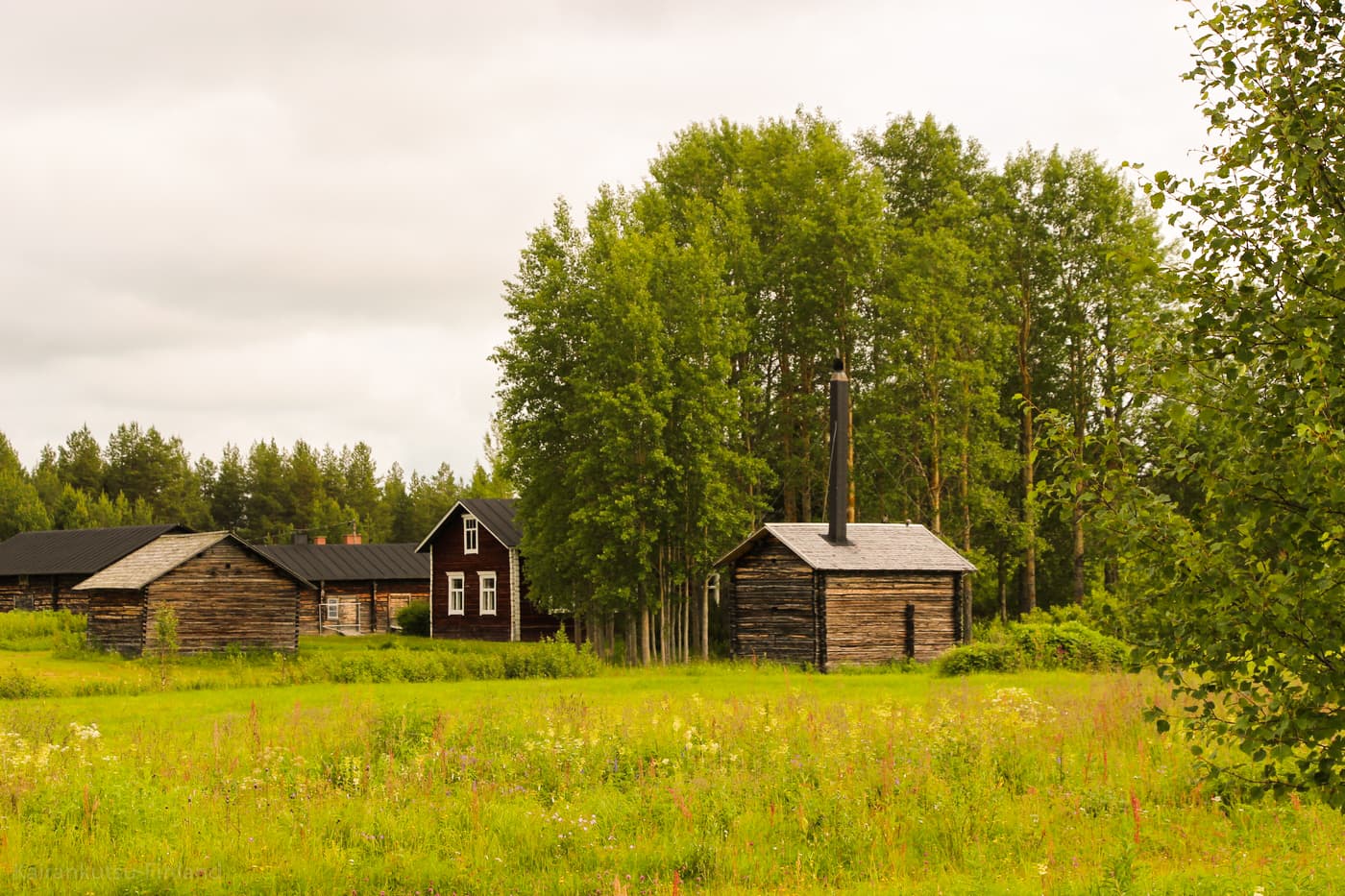 Culture of Eastern Lapland- The Historical Village Suvanto & Nature Heritage Center Naava