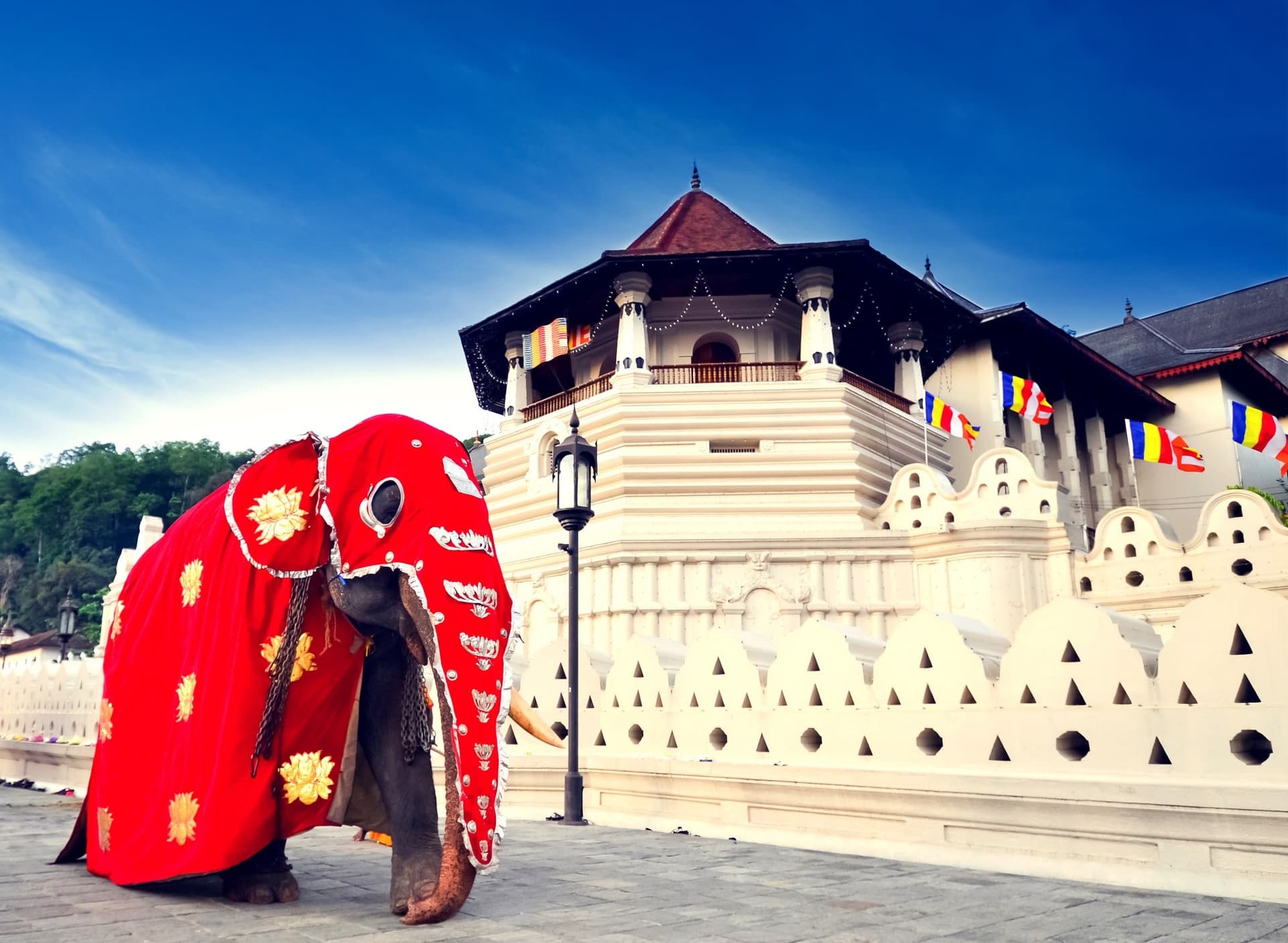 Budget Sri Lanka