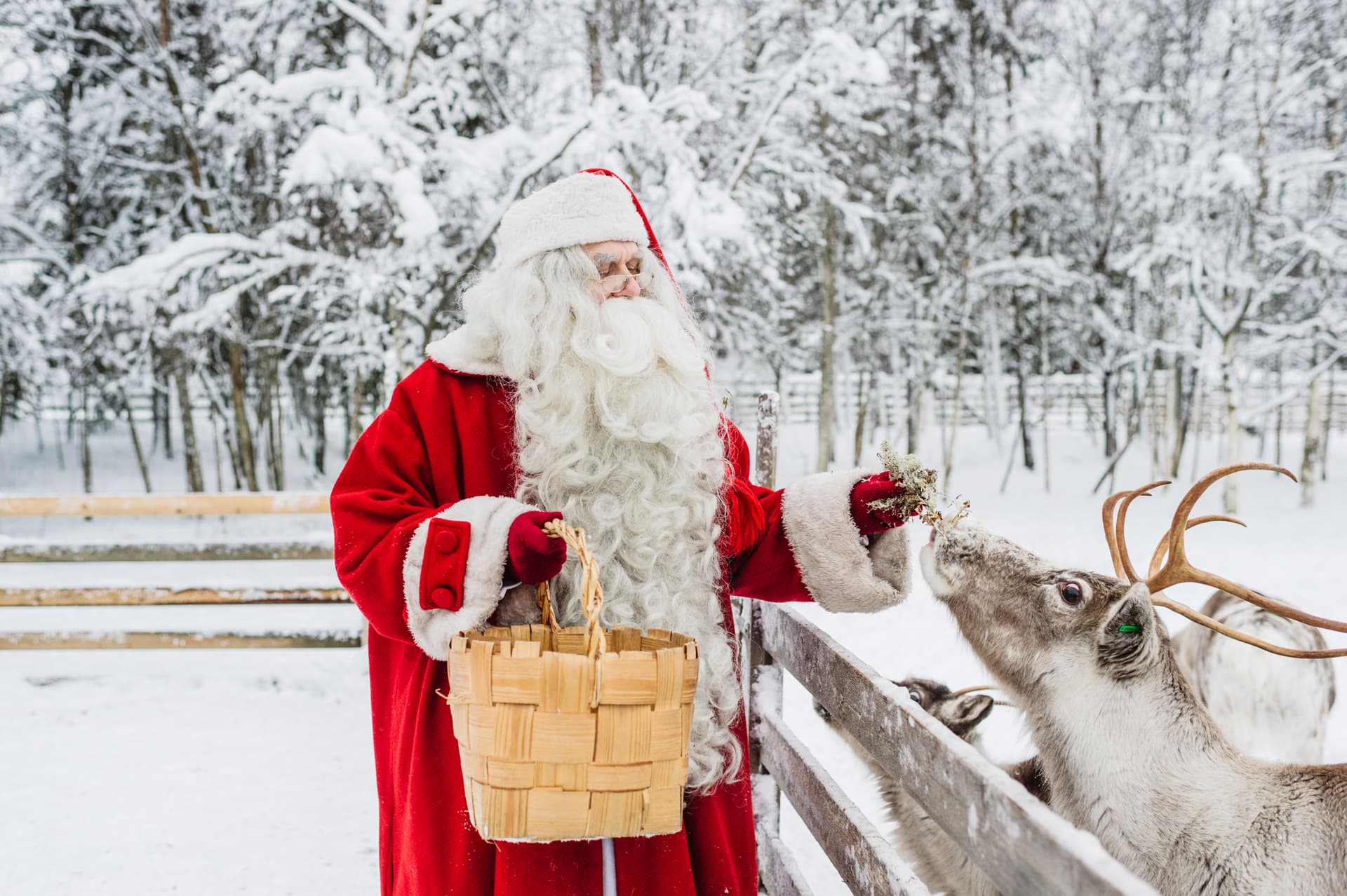 Santa Claus Safari - Rovaniemi