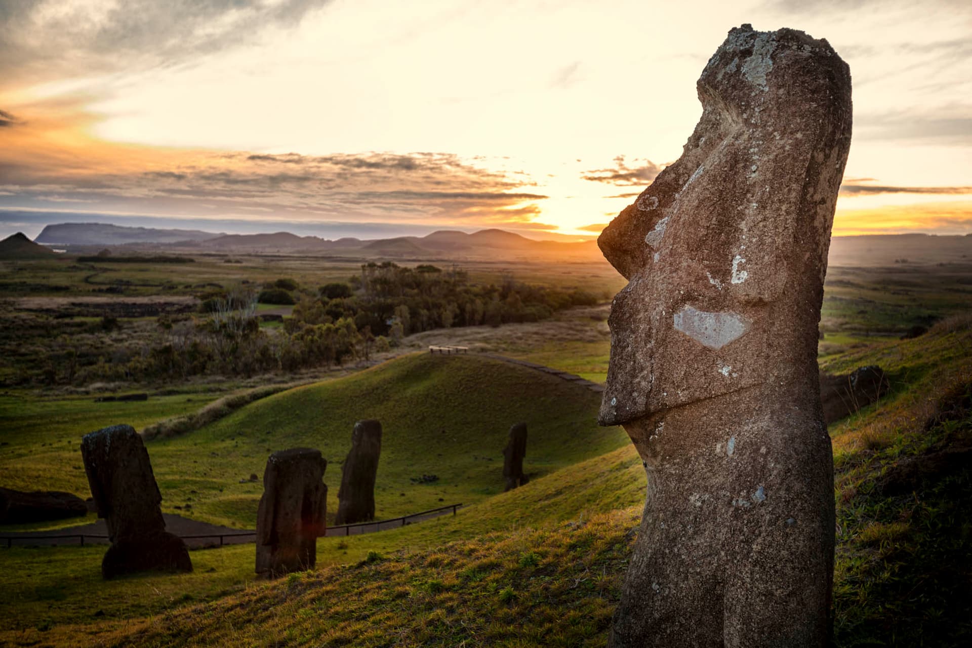 2 Half Days & 1 Full Day Private Tours
