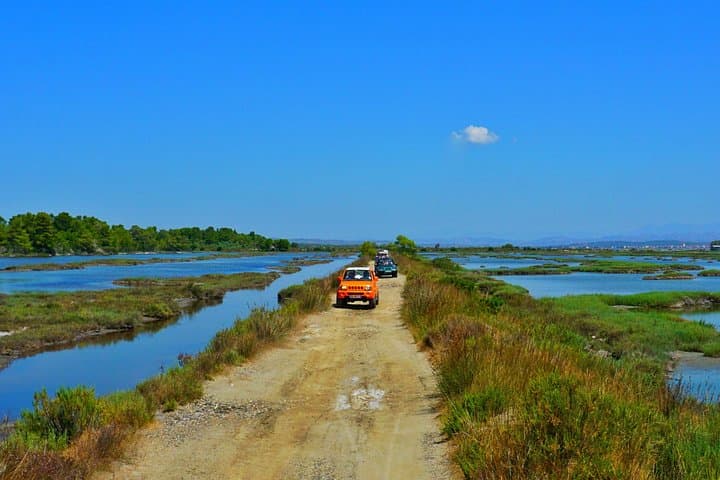 Jeep Safari & Bird Watching