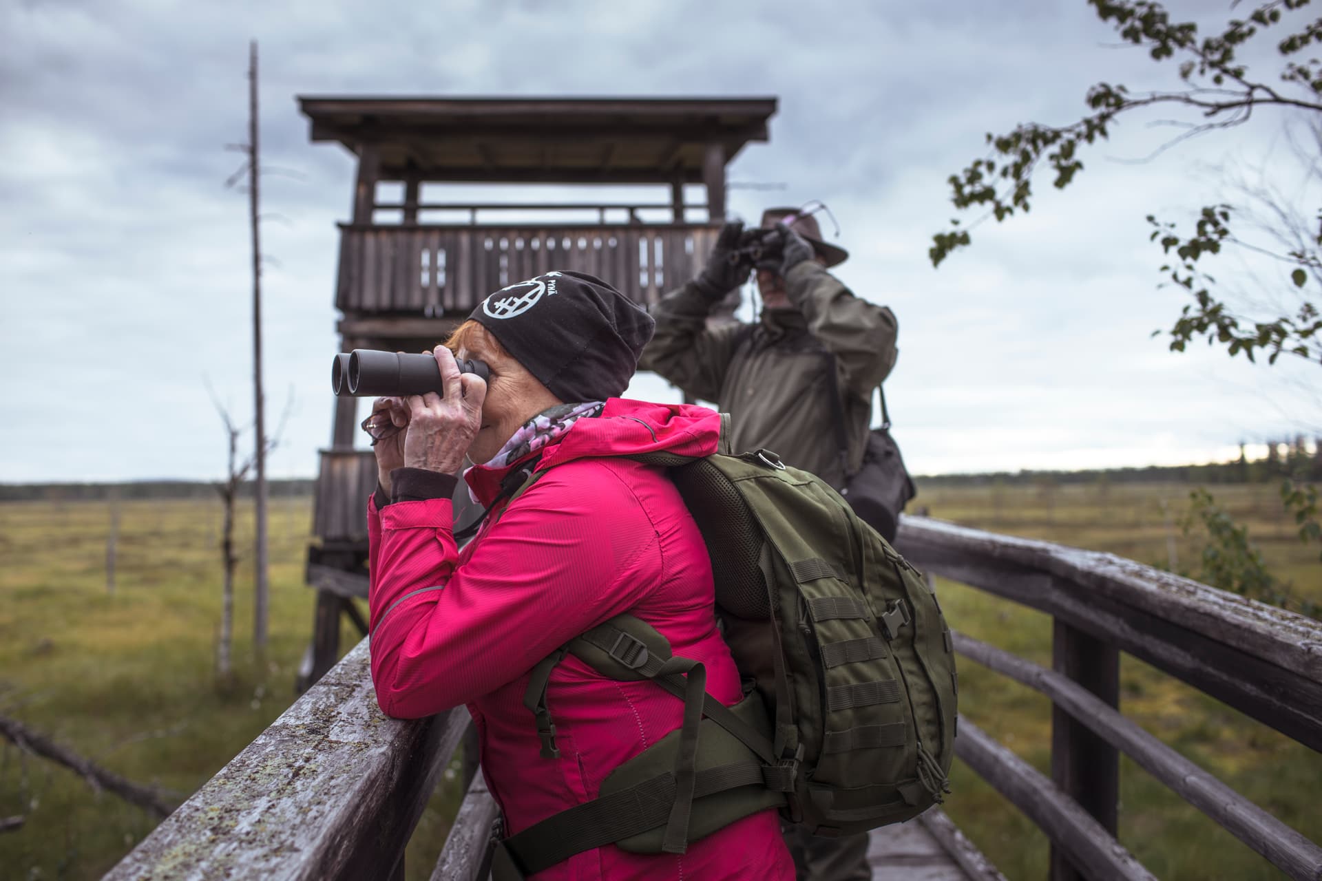 Bird watching, Nature & Wildlife