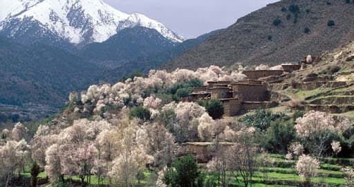 Asni & Tassa Ouirgane Full-Day Trip