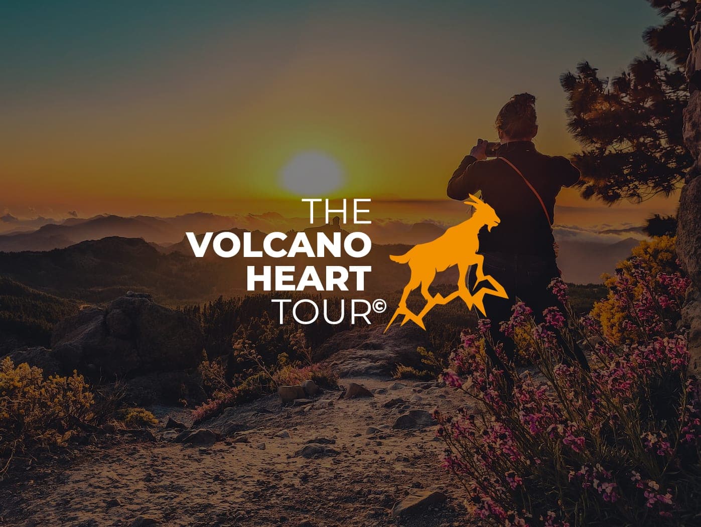 The Volcano's Heart Tour + Local Products Tasting