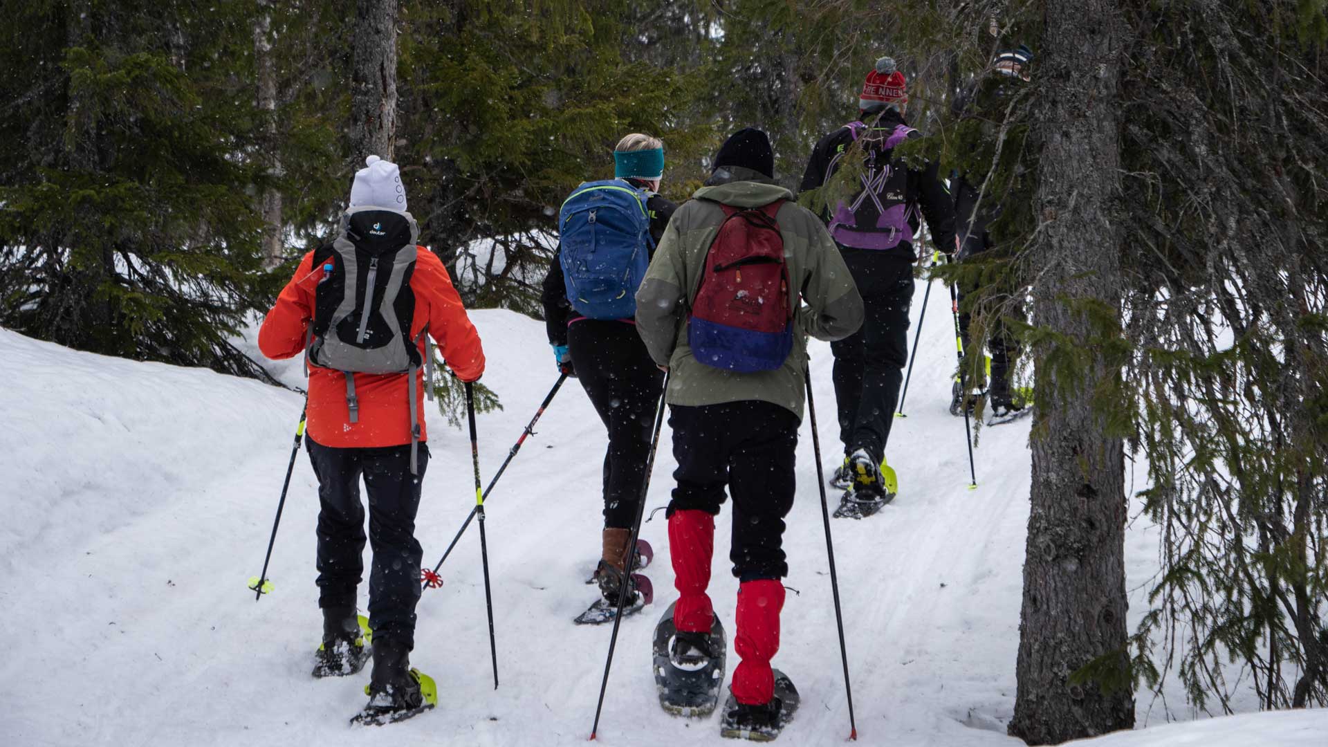 Guided snowshoe hike at Norefjell
