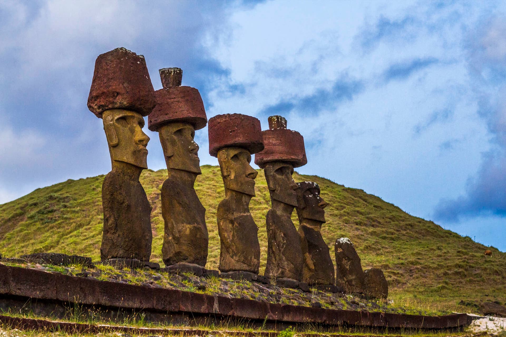 2 Half Days & 2 Full Days Private Tours | OPTION A