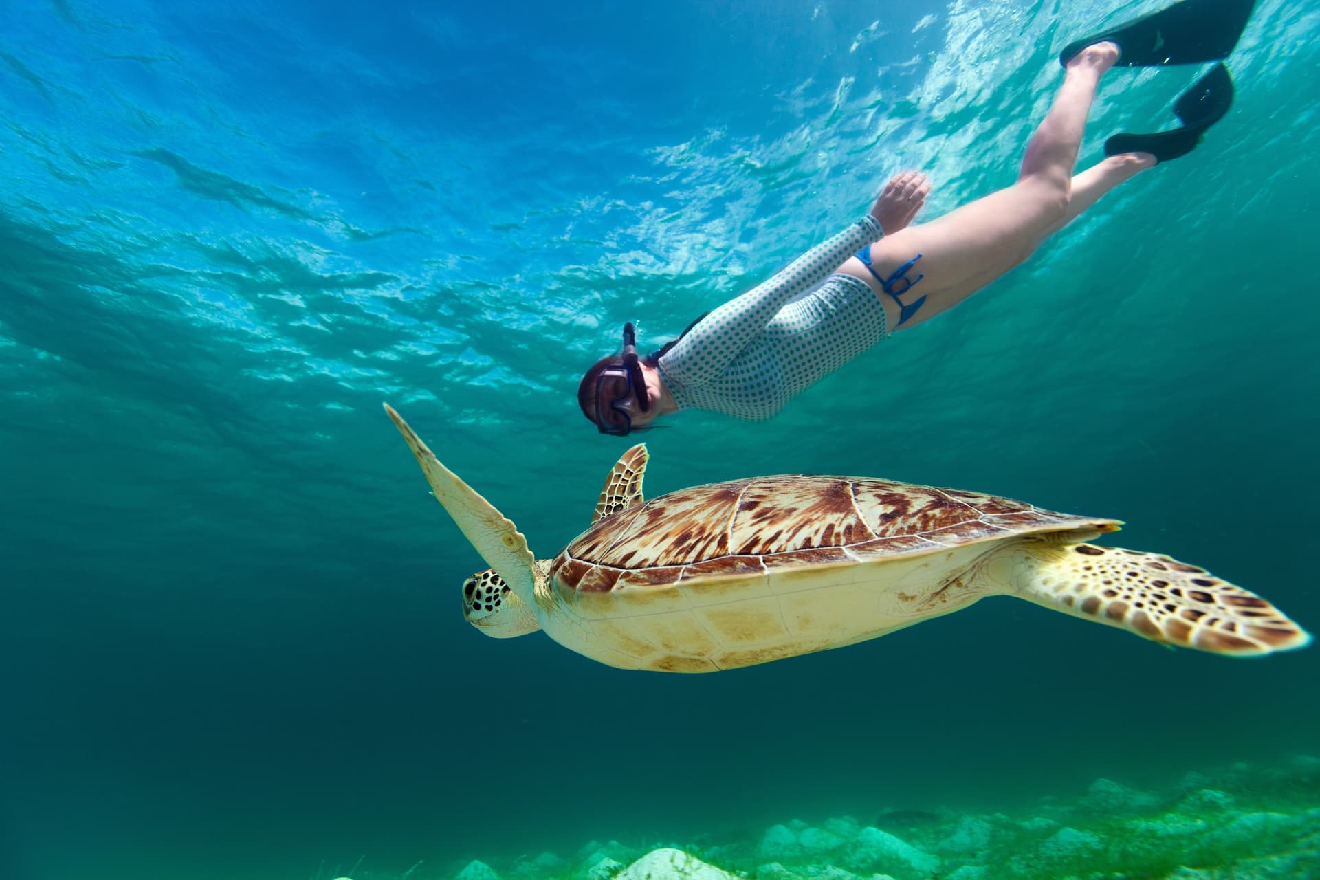 Snorkeling Day Trip & Island Tour to Nusa Lembongan & Penida