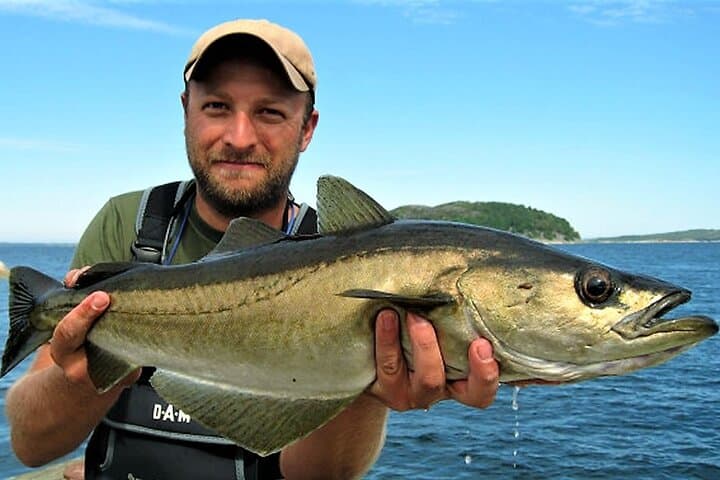 Deep sea fishing Donegal coast. Donegal. Private guided.