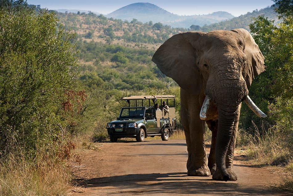 Things to do in South Africa