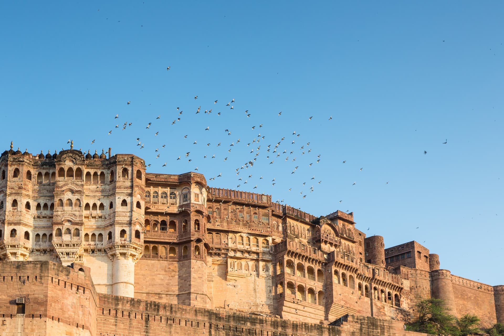 Visit Jodhpur in Private Car