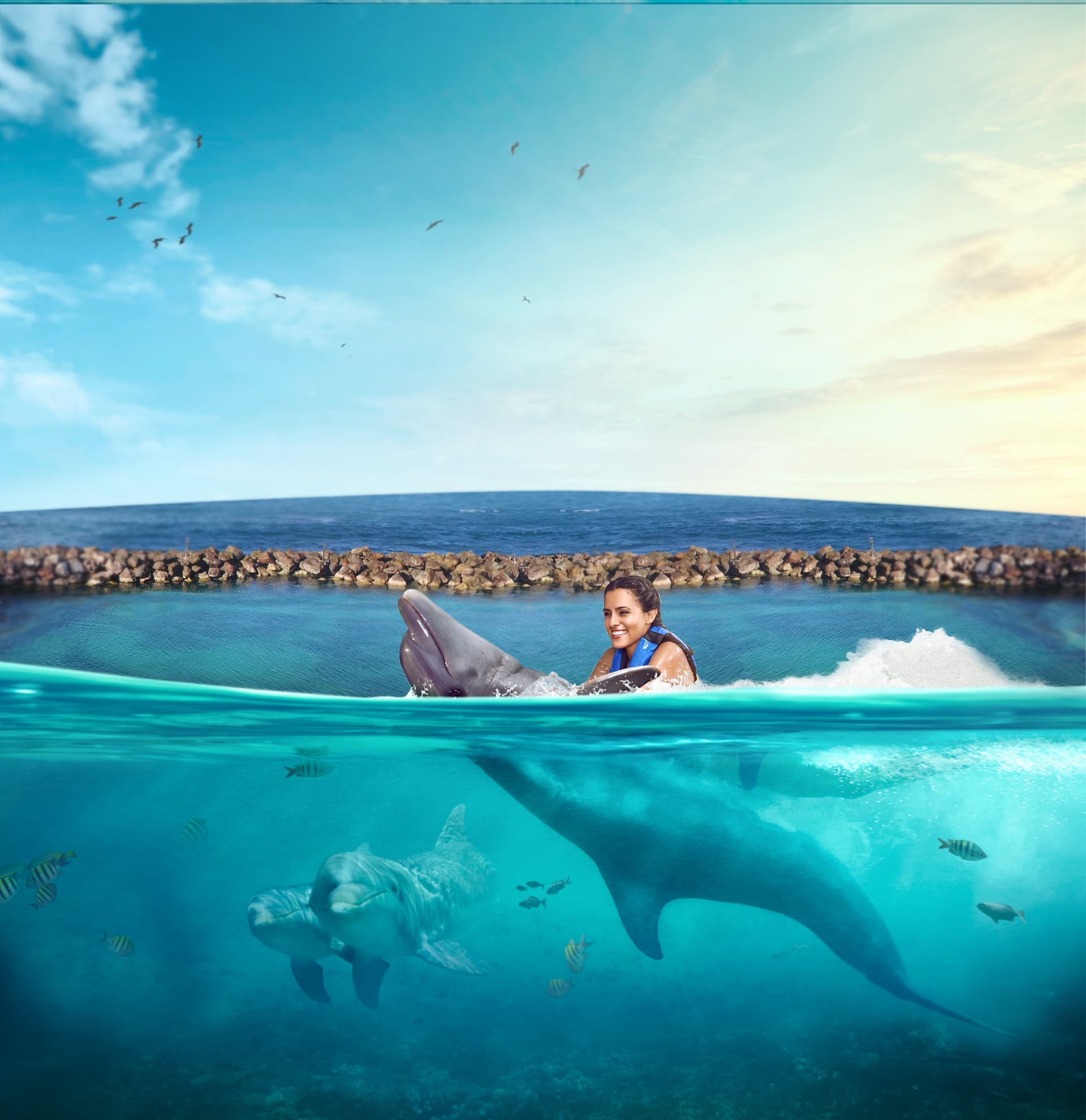 Dolphin Swim Adventure in Dolphin Cove Ocho Rios