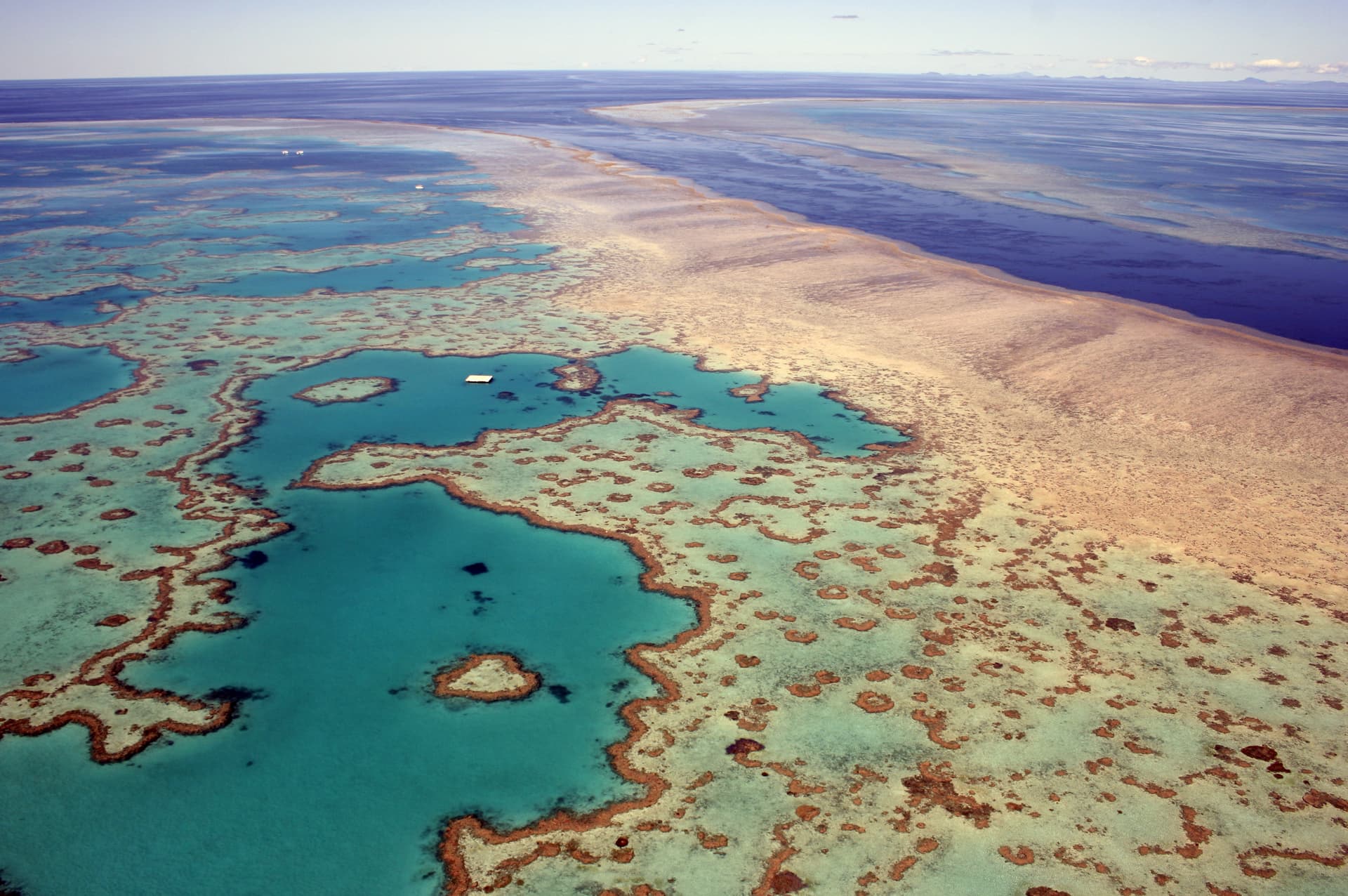 Sydney to Cairns Tour